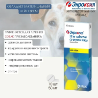 Энроксил таблетки со вкусом мяса, 50 мг №10