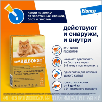 Адвокат капли (3пип) д/кошек до 4кг от чесот.клещей, блох и гельминтов