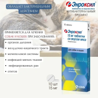 Энроксил таблетки со вкусом мяса, 15 мг №10