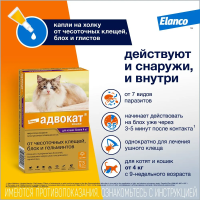 Адвокат капли (3пип) д/кошек более 4кг от чесот.клещей, блох и гельминтов